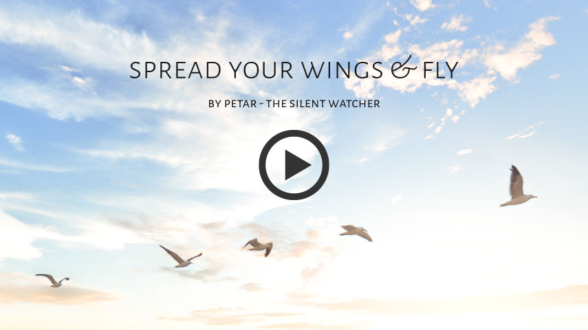 Spread your wings and fly