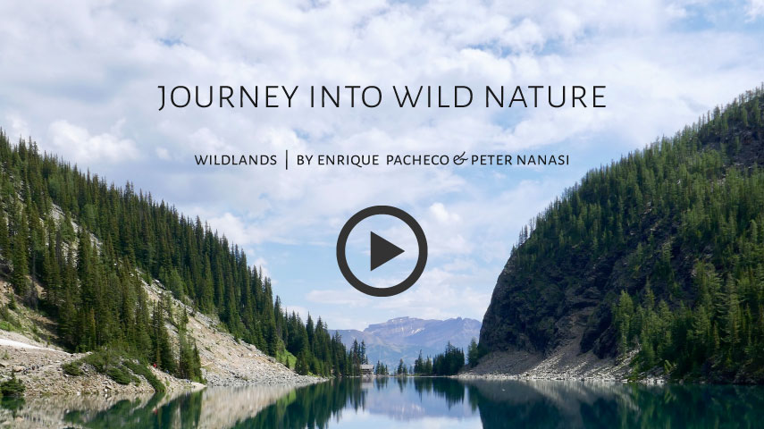 Journey into Wild Nature