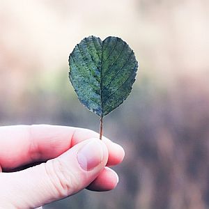 Nurturing living world 