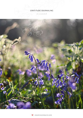 gratitude journaling in a nutshell 