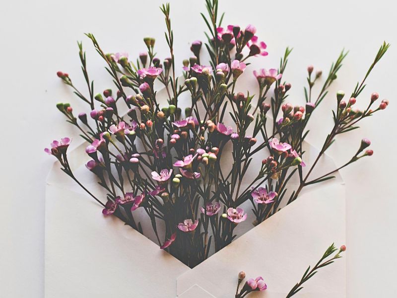 envelope with flowers spilling out of it as a metaphore for the gifts of letterwriting for self reflection